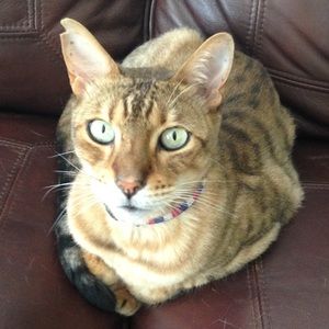 Meet your Posher, Julia